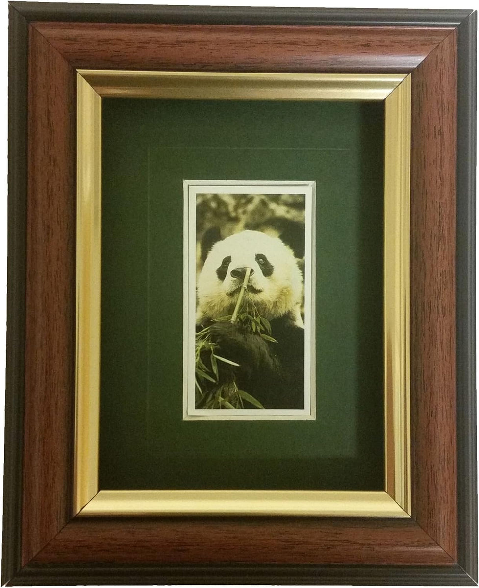 Mounting & framing Kit for 1 Standard sized Cigarette Card Robinhooddirect