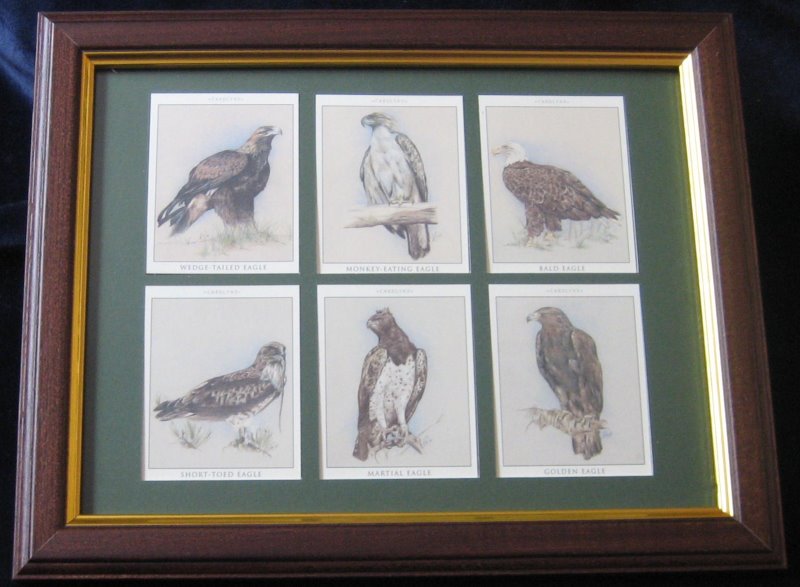 Mounting & framing Kit for 6 Large Cigarette Cards Robinhooddirect