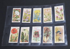 Cigarette collectors cards in protective sleeve