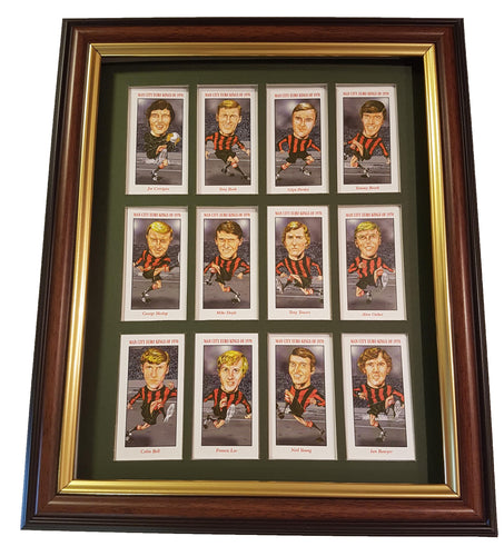 Mounting & framing Kit for 12 Standard Cigarette Cards