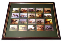 Load image into Gallery viewer, Mounting &amp; framing Kit for 20 Large Cigarette Cards