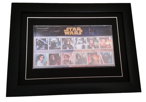 Presentation Pack Display Frame